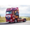 WSI01-1617 - DAF XF SSC Starek /1:50 WSImodels