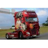 DAF XF SSC 4x2 Besnier - WSImodels