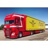 WSI01-3298 - DAF XF SSC my17 4x2 centinato Michael Fuhrbetrieb /1:50 WSImodels