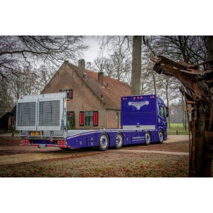 85485 - Scania NG P-serie rigid-truck with ramps (resin) Cluistra  /1:50 TEKNO