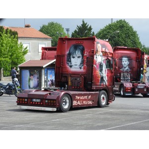 WSI01-4509 - DAF XF105 SSC 4x2 Transports Beau /1:50 WSImodels