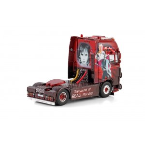 WSI01-4509 - DAF XF105 SSC 4x2 Transports Beau /1:50 WSImodels