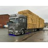 89057 - DAF XF combi hay transport P&L Forman /1:50 Tekno