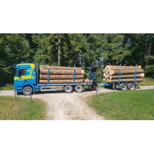 89219 - Scania R500 autotreno trasporto legname Martin Wittwer /1:50 Tekno