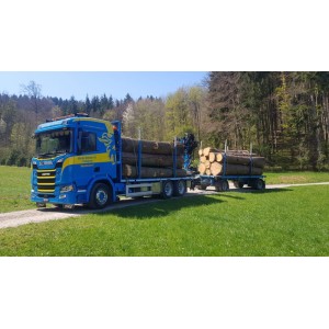 89219 - Scania R500 autotreno trasporto legname Martin Wittwer /1:50 Tekno