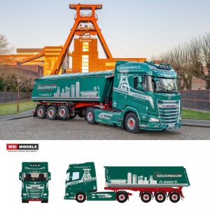 WSI01-5060 - DAF XG 4x2 vasca ribaltabile Sauerbaum /1:50 WSImodels