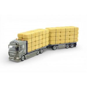 89057 - DAF XF combi hay transport P&L Forman /1:50 Tekno
