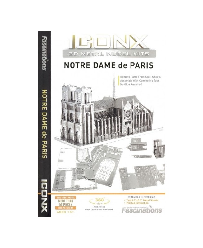 FA ICX003 - Notre Dame Parigi
