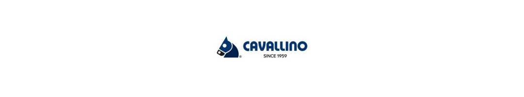 Cavallino