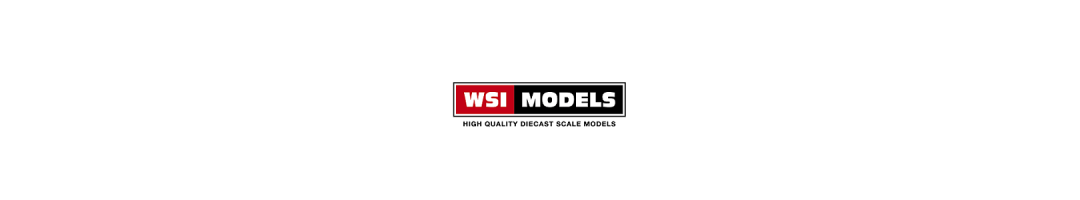 WSI models